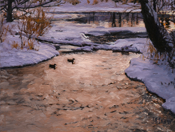 Winter Pond in Veteran's Park