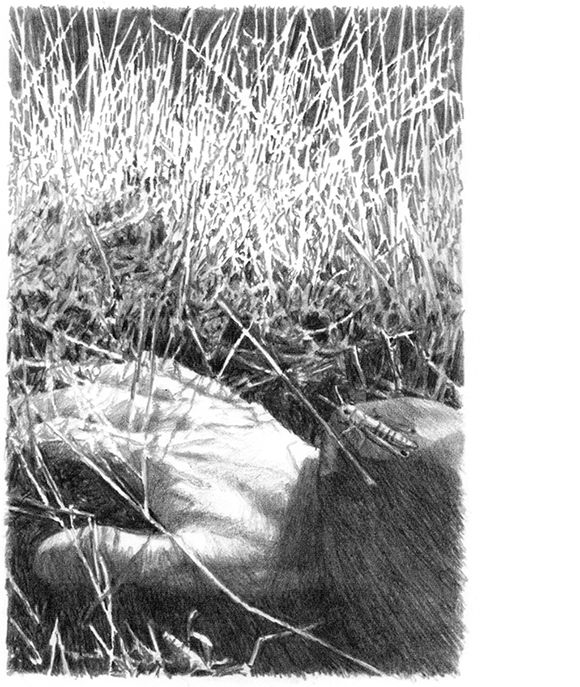 Illustration of hand in grass
